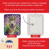 Bull Terrier King of Mardi Gras Porcelain Ornament Christmas Tree Hanging Decorations for Home Christmas Holiday, Rectangle, Gift, Multicolor