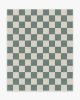 Jaque Checkered Slate Green Rug