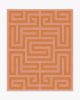 Maze Pink &amp; Orange Rug